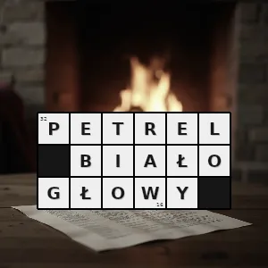 Hasło krzyżówkowe pterodroma lessonii gatunek ptaka z rodziny burzykowatych procellariidae - petrel białogłowy – rozwiązanie, synonimy, podpowiedzi i definicje krzyżówkowe